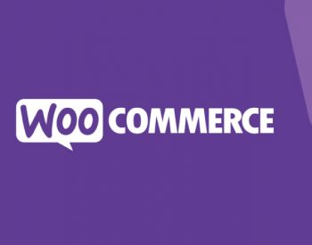 Add a Lead Time field to your WooCommerce Products